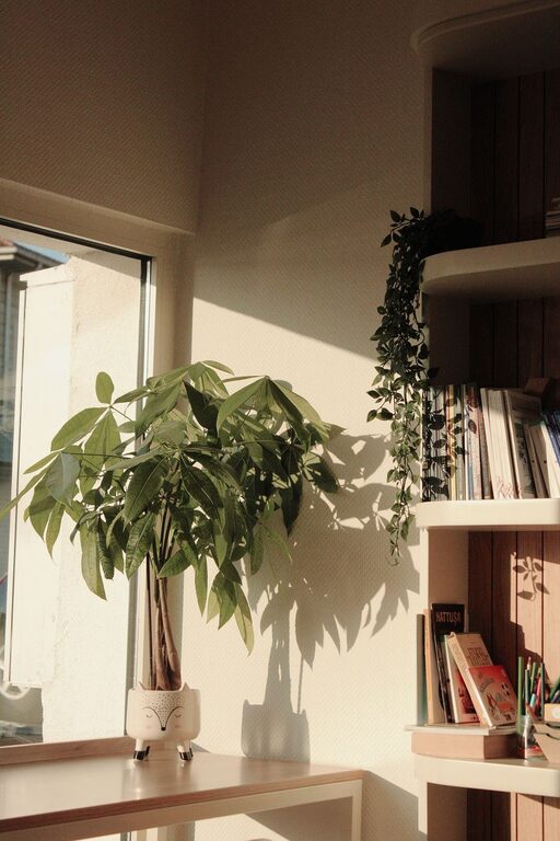 How to Create a Cozy Reading Corner at Home